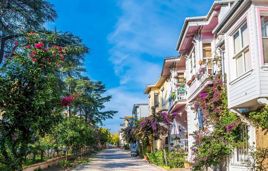 Journée aux Îles des Princes Istanbul